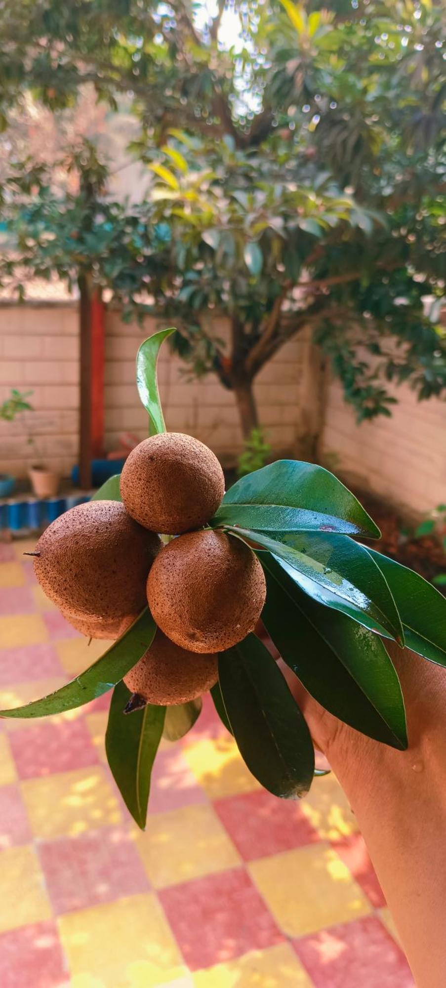 אליבג Swarn Villa מראה חיצוני תמונה